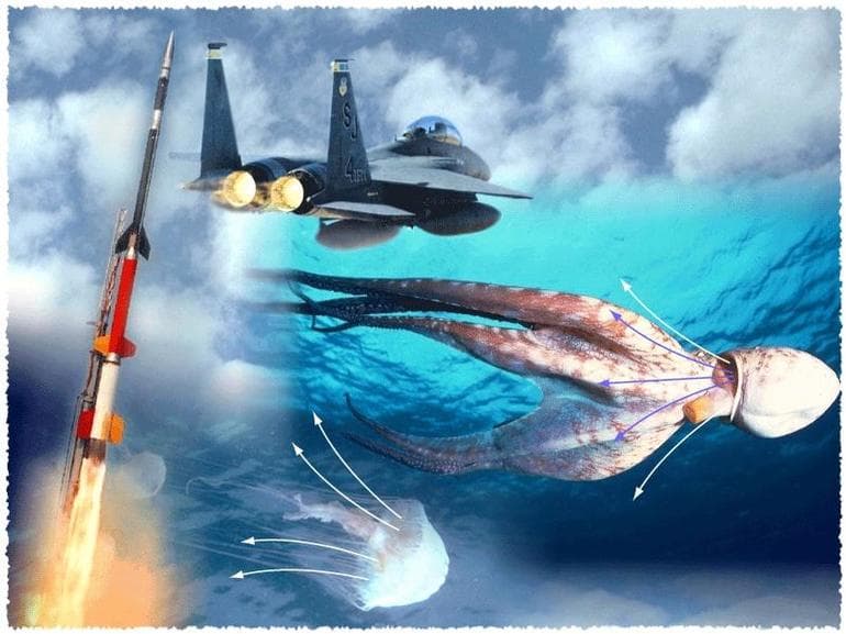 Реактивное движение — определение в физике, история открытия, суть, формула