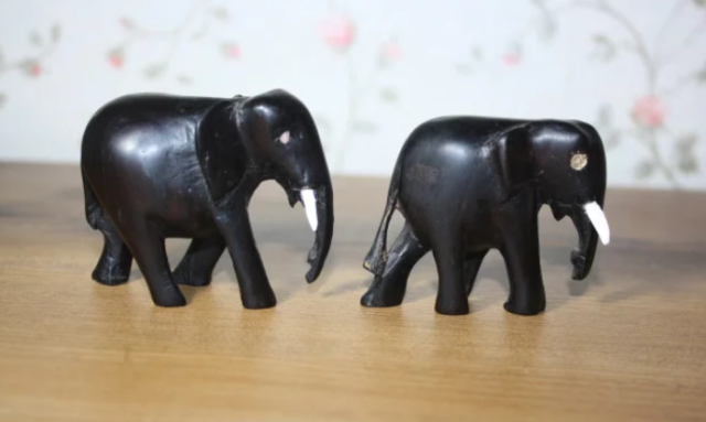 Река Конго на карте мира – описание границ бассейна, характеристика, куда впадает