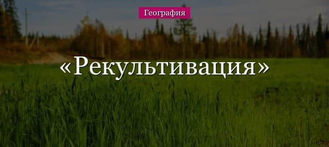 Рекультивация земель – что это такое?