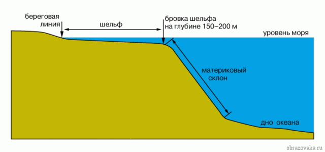 Рельеф дна мирового океана (6 класс) – профиль и крупные формы
