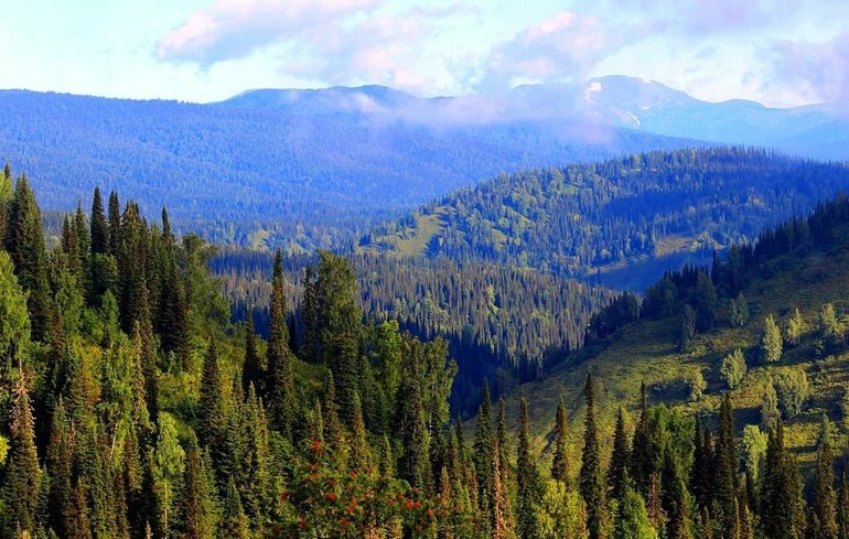 Рельеф Евразии &mdash; кратко об основных формах, описание и характеристика