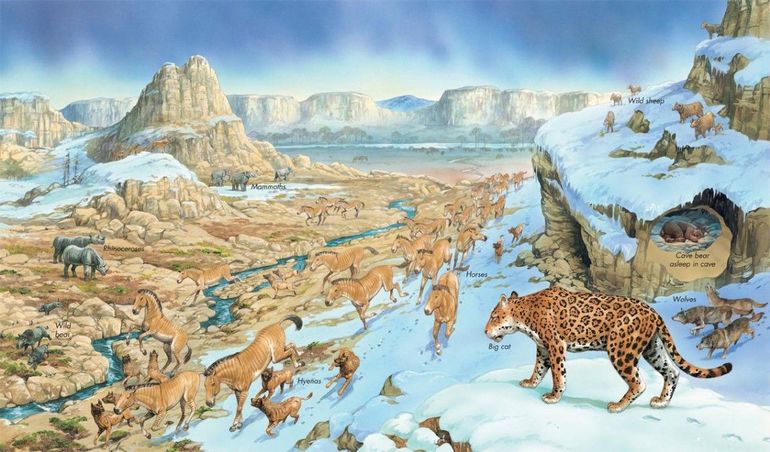 Рельеф Евразии &mdash; кратко об основных формах, описание и характеристика