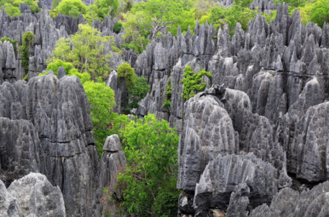 Рельеф Мадагаскара – описание формы рельефа острова по плану и особенности кратко (7 класс, география)