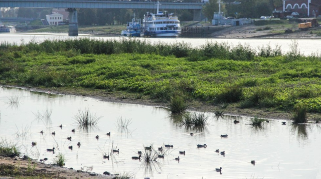 Режим реки &ndash; что это такое в географии, как определить