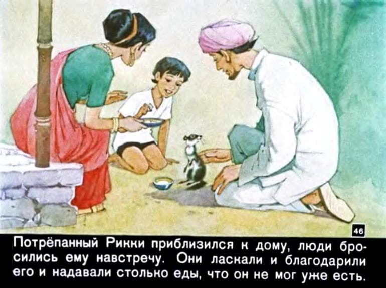 &laquo;Рикки-Тикки-Тави&raquo; &mdash; краткое содержание сказки Редьярда Киплинга