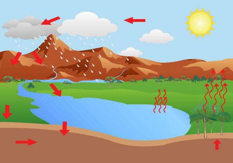Ритмичность географической оболочки &mdash; причины и примеры проявления свойства