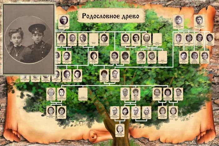 Родословное дерево семьи (окружающий мир, 2 класс)