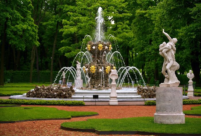 Роль леса в природе и жизни людей &ndash; значение леса для доклада кратко (3-4 класс, окружающий мир)