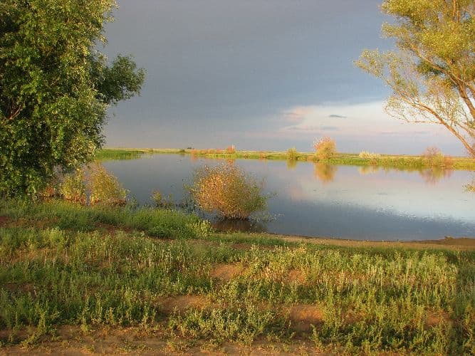 Русская равнина &ndash; кратко о Великой равнине для сообщения