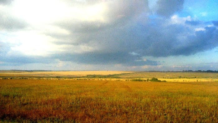 Русская равнина &ndash; кратко о Великой равнине для сообщения