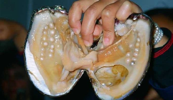 Рыбное хозяйство и рыбоводство &ndash; предприятия России