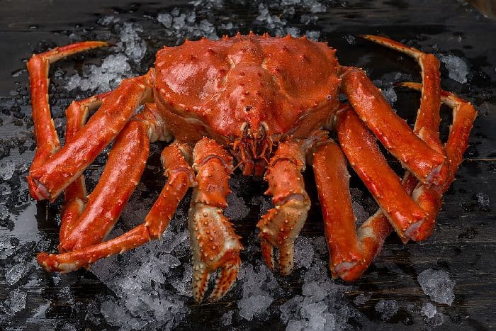 Рыбное хозяйство и рыбоводство &ndash; предприятия России