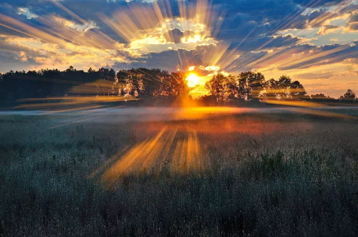 С какой стороны встает и заходит Солнце?