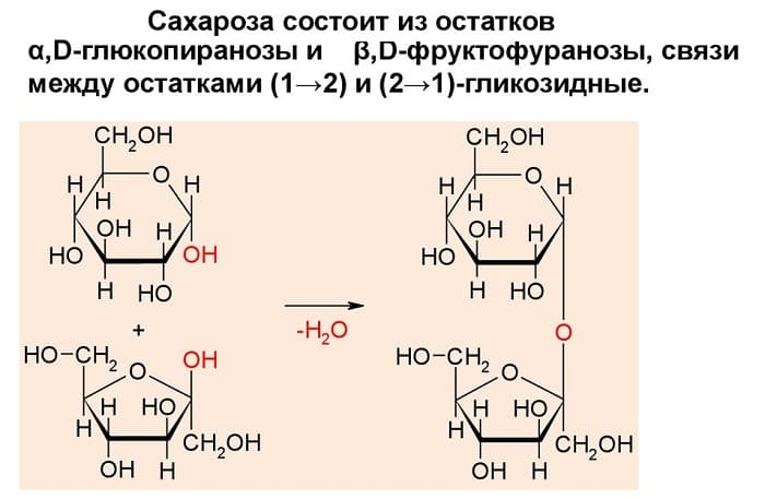 Сахароза — формула, строение и свойства