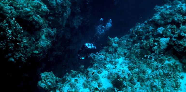 Самая глубокая впадина — Марианский желоб, его географическое положение и глубоководные обитатели