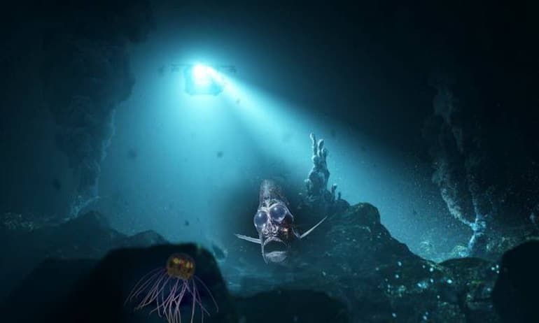 Самая глубокая впадина — Марианский желоб, его географическое положение и глубоководные обитатели