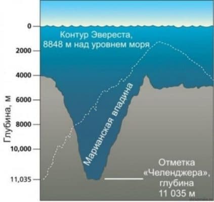 Самая глубокая впадина в мировом океане – точка места с макимальной глубиной на карте