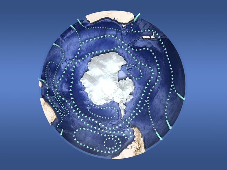 Самое мощное течение Мирового океана &mdash; вид, название и направление