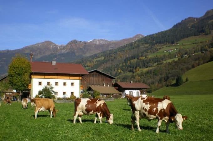 Сельское хозяйство Канады, его специализация