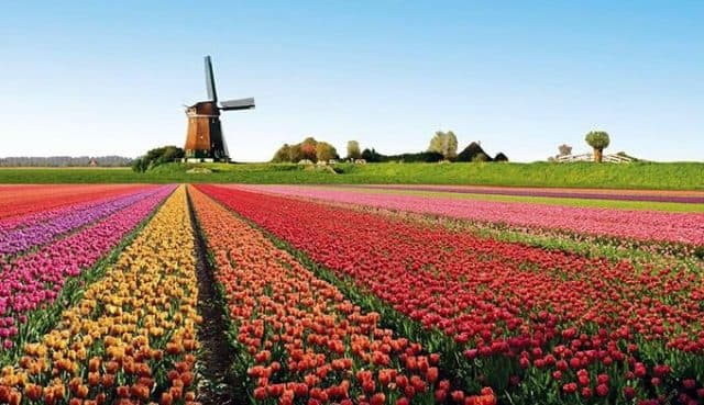 Сельское хозяйство Зарубежной Европы – типы и отрасли в таблице