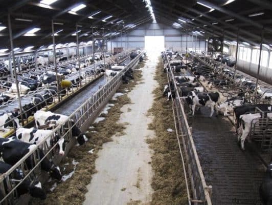 Сельское хозяйство Зарубежной Европы – типы и отрасли в таблице