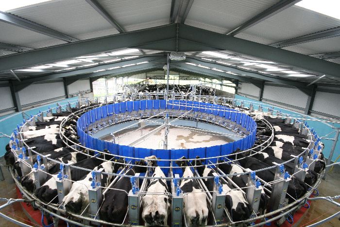 Сельскохозяйственные профессии – список для детей для сообщения кратко (3 класс, окружающий мир)