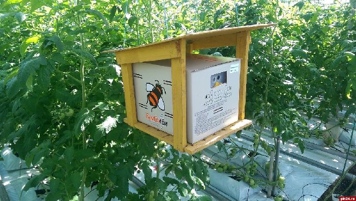 Сельскохозяйственные профессии – список для детей для сообщения кратко (3 класс, окружающий мир)