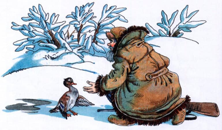 &laquo;Серая Шейка&raquo; &mdash; краткое содержание сказки Д.Н. Мамина-Сибиряка для читательского дневника