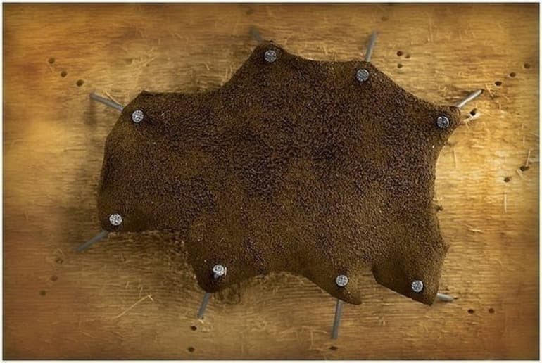 &laquo;Шагреневая кожа&raquo; &mdash; краткое содержание романа Оноре де Бальзака