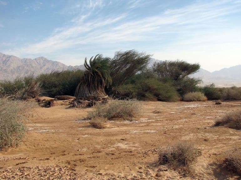 Сирия — экономико-географическое положение и общая характеристика республики