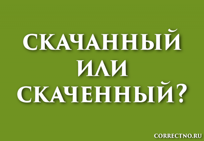 Скачанный или скаченный: как правильно пишется слово?