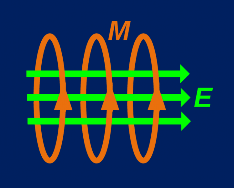 Скалярные и векторные величины в физике и математике