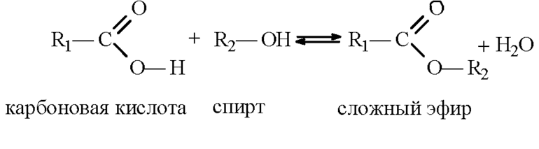 Сложные эфиры &mdash; характеристика, классификация и примеры соединений