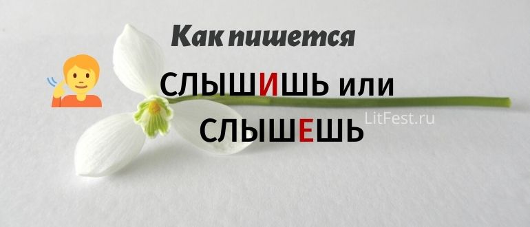СлышИшь или слышЕшь, как правильно пишется?