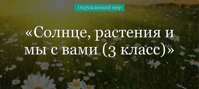 Солнце, растения и мы с вами (3 класс) по окружающему миру