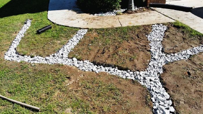 Солончаки – определение что такое солончаки почвы кратко (география)