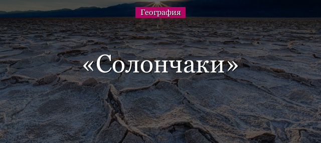 Солончаки – определение что такое солончаки почвы кратко (география)