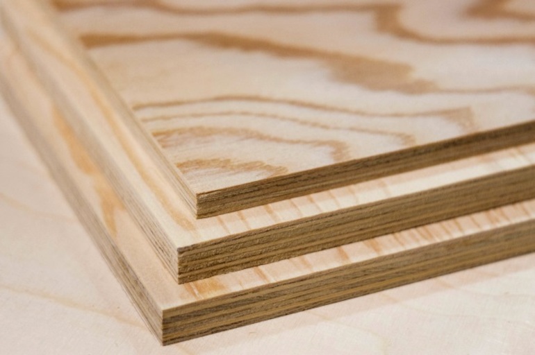 Сообщение о липе — описание, признаки и характеристика