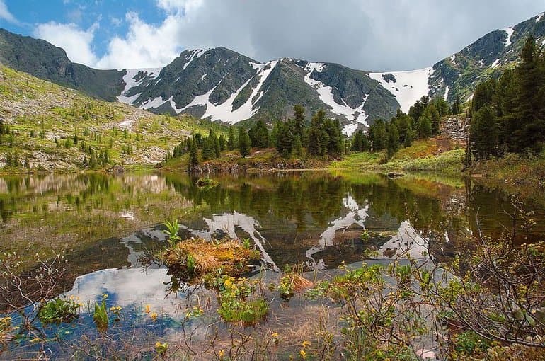 Сообщение об Алтайскиом заповеднике &mdash; положение, описание флоры и фауны