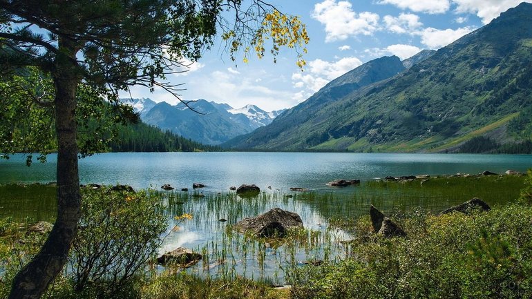 Сообщение об Алтайскиом заповеднике &mdash; положение, описание флоры и фауны