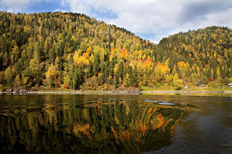 Сообщение об Алтайскиом заповеднике &mdash; положение, описание флоры и фауны