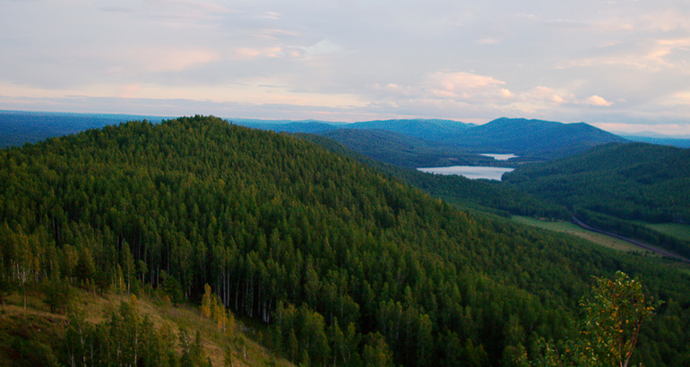 Сообщение об Ильменском заповеднике &mdash; описание территории, животных и полезных ископаемых