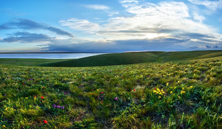 Сообщение про Золотые горы Алтая &mdash; положение, описание и характеристика