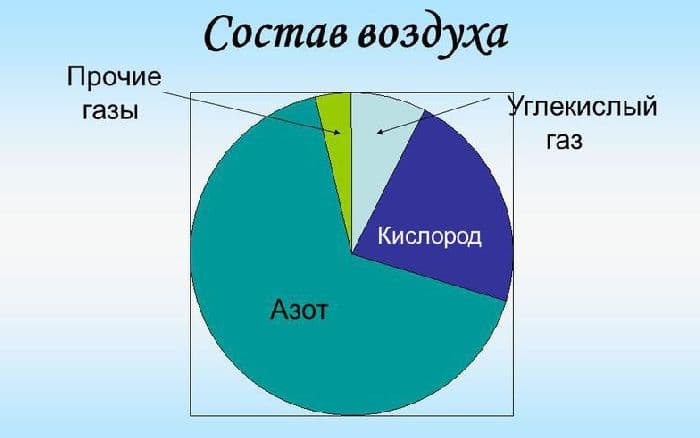 Состав воздуха в процентах в атмосфере и на Земле (химия, 8 класс)