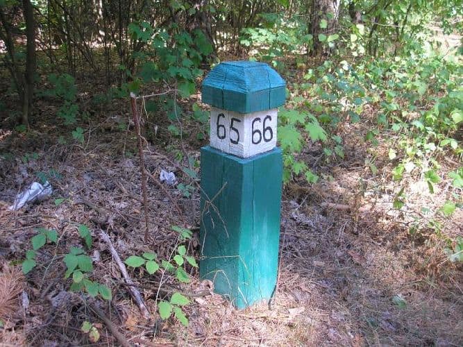 Способы ориентирования на местности – по каким признакам можно ориентироваться (5 класс, география)