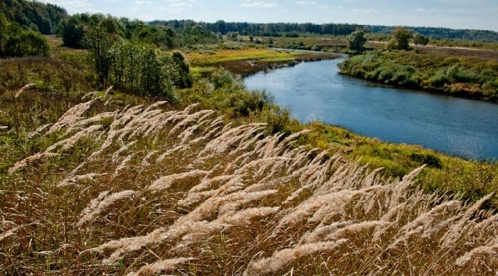 Среднерусская возвышенность &ndash; где находится на карте России, высота