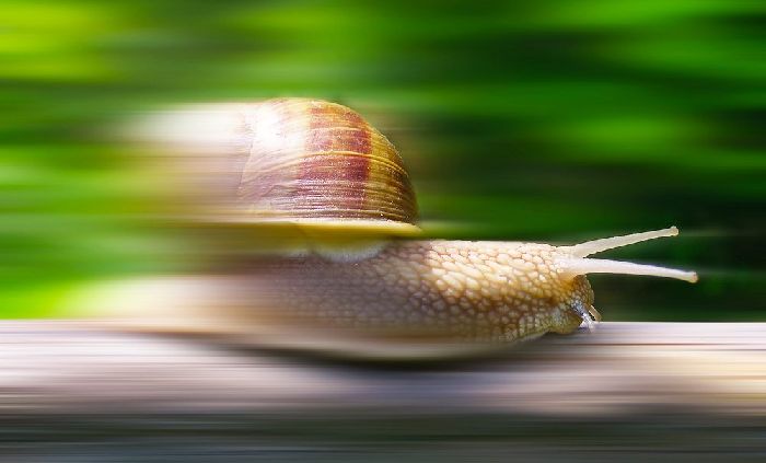 Средняя скорость &ndash; формула определения и нахождения физической величины кратко по физике