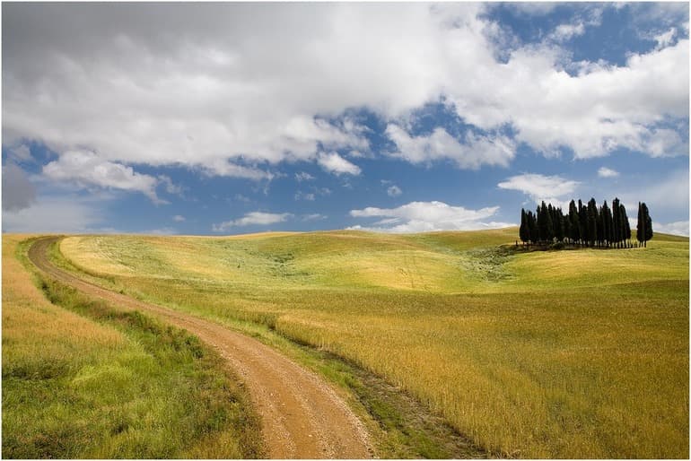 «Степь» — краткое содержание повести Антона Павловича Чехова