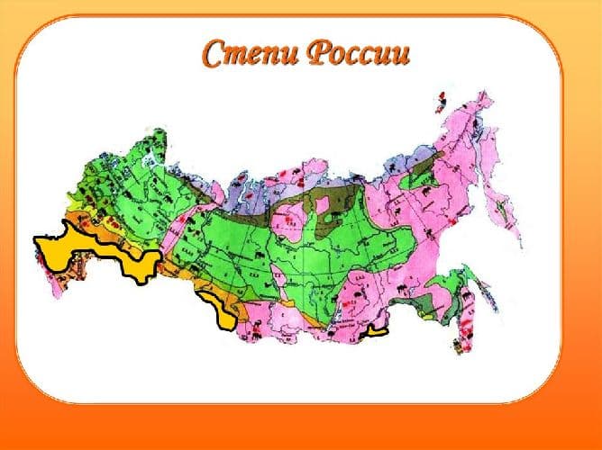 Степи России – географическое положение зоны на карте