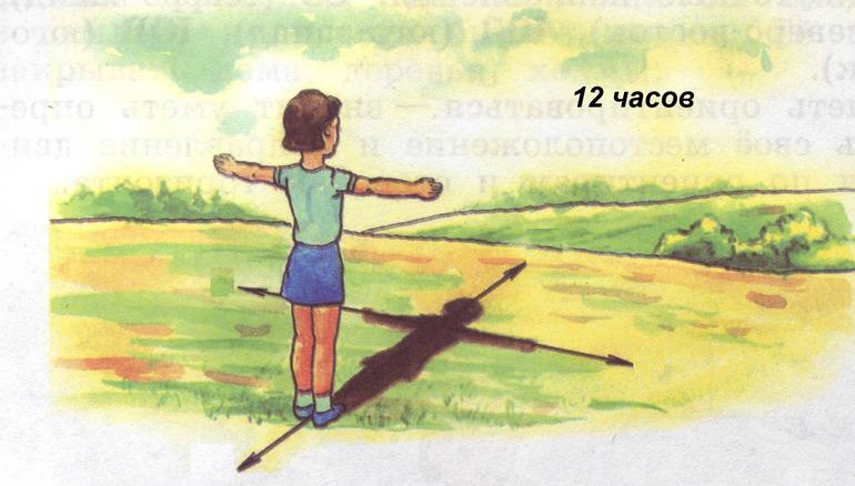 Стороны горизонта — основные и промежуточные